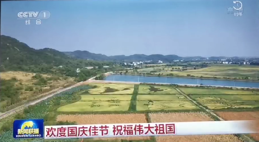 上央视-开云电竞五彩稻田画，助力乡村振兴